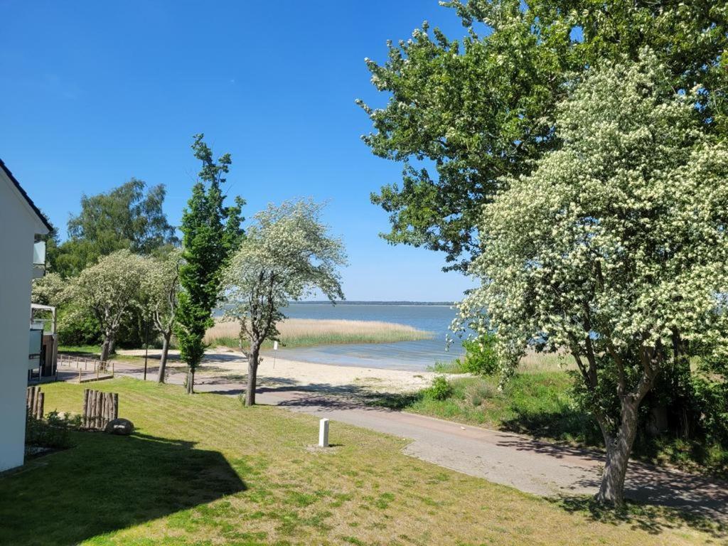 Baltic Lagoon Resort Direkt Am Meer Fuhlendorf  Buitenkant foto