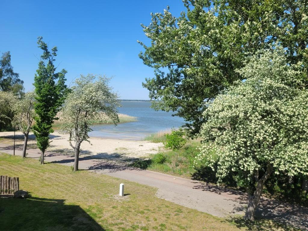 Baltic Lagoon Resort Direkt Am Meer Fuhlendorf  Buitenkant foto